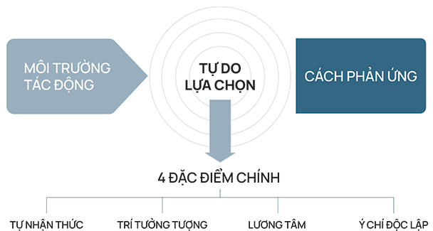  Quyền tự do lựa chọn